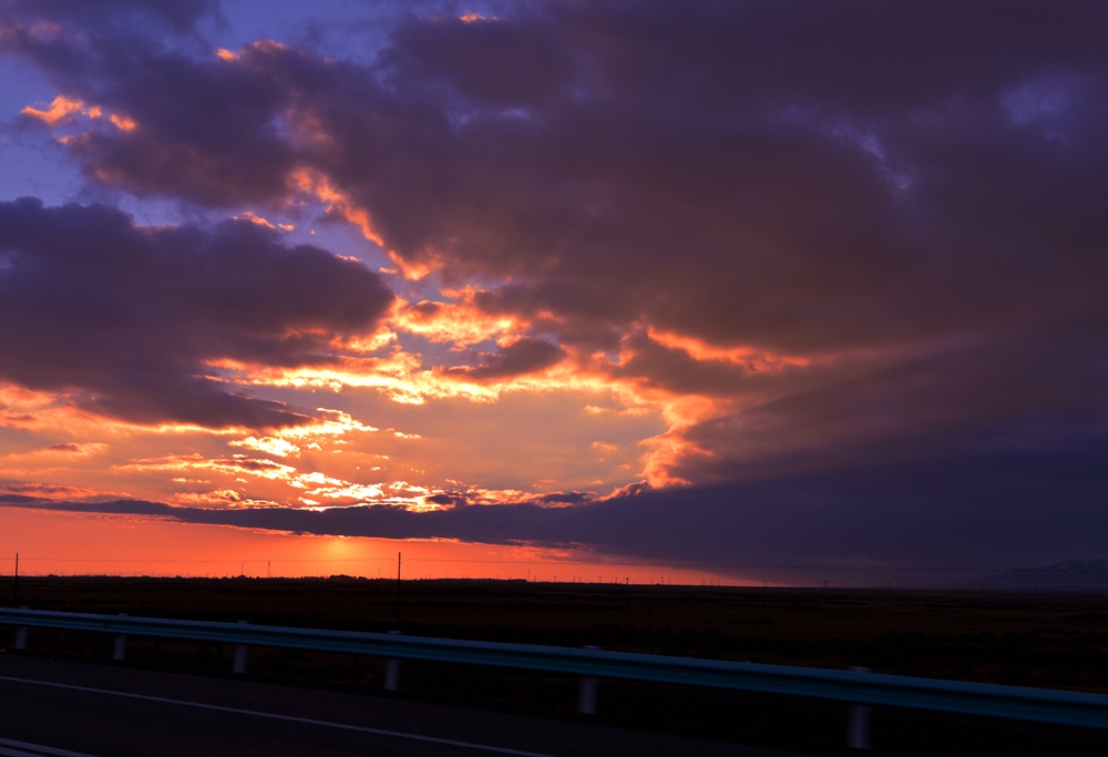 DSC_0517_.jpg