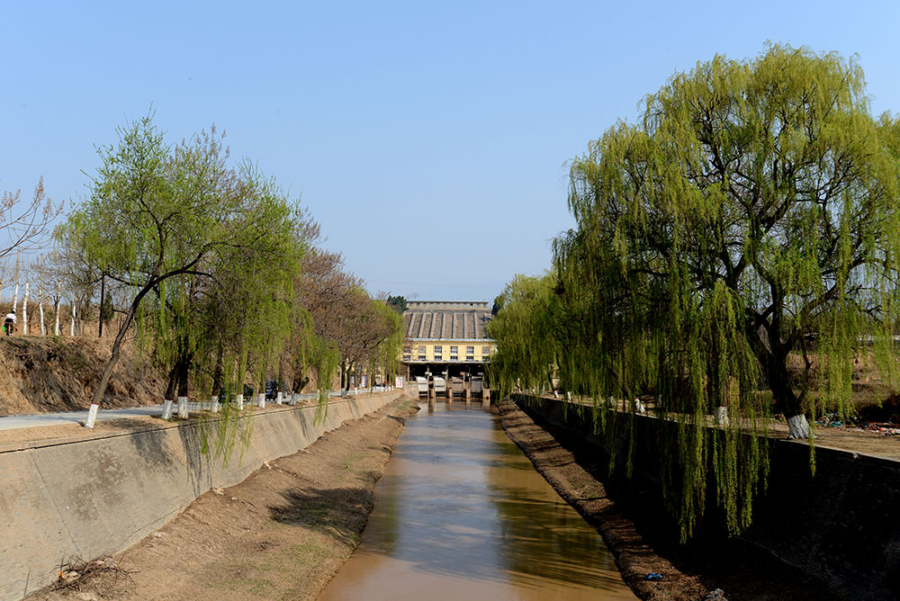 DSC_1375.JPG
