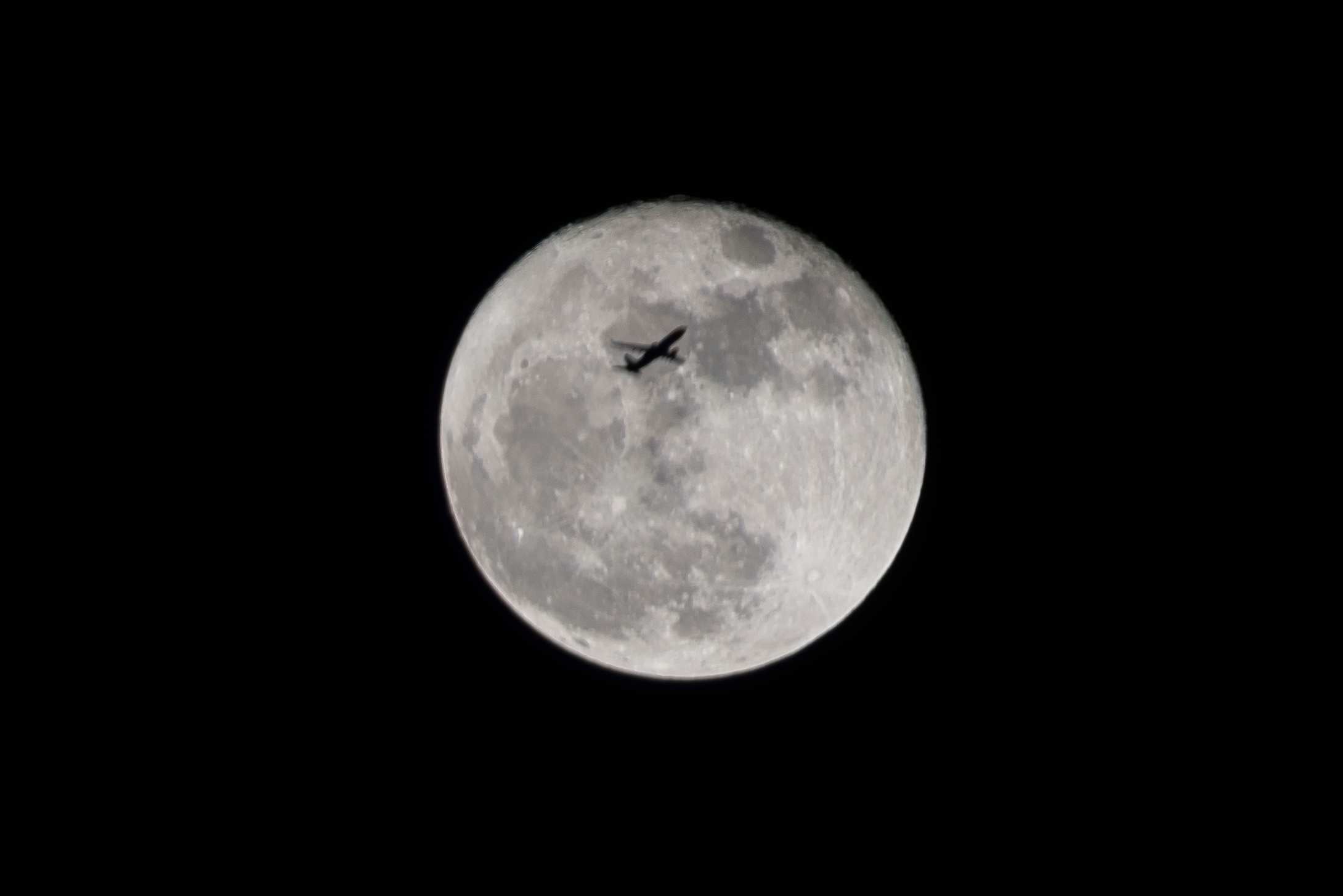 GFS_6978.jpg