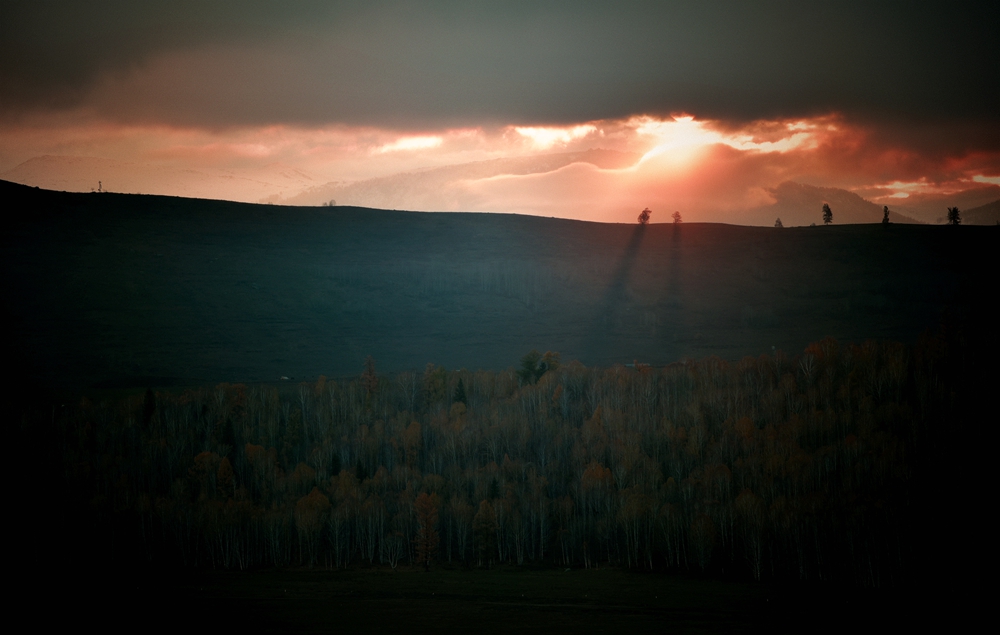 DSC_0308_.jpg