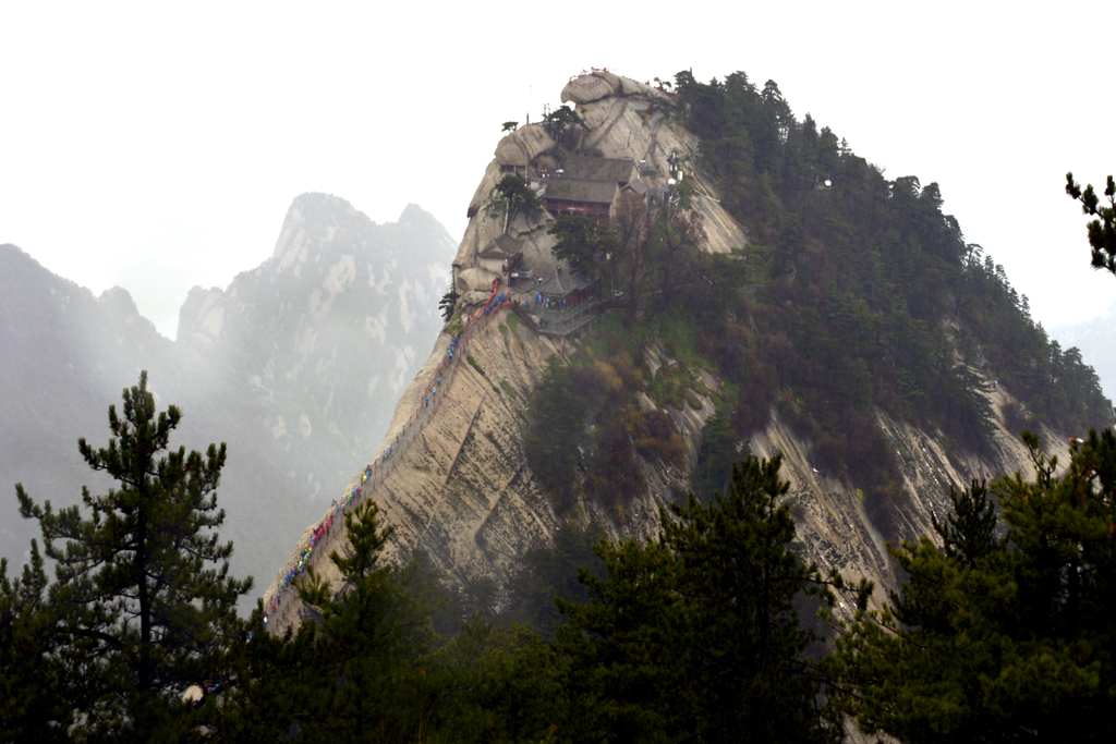 _DSC2307.jpg