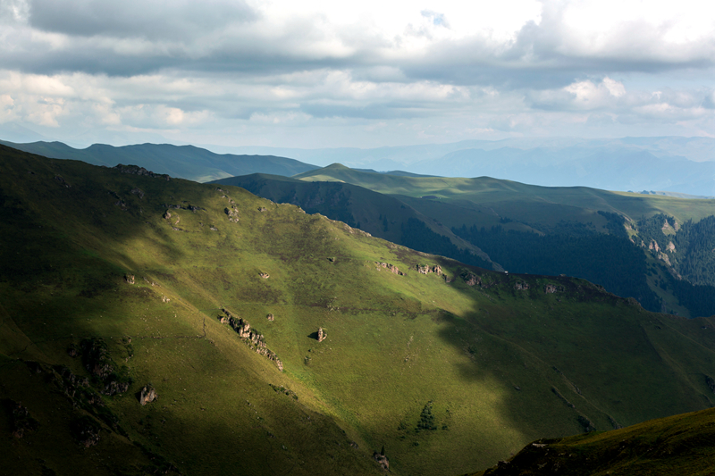 NT0B2506_.jpg