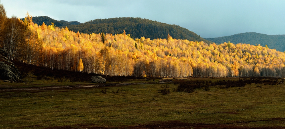 DSC_0241_.jpg