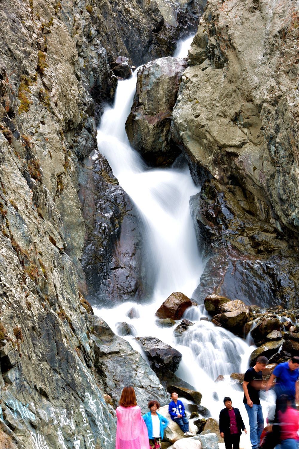 DSC_8151_.jpg