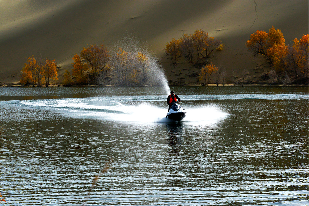 DSC_0240.JPG