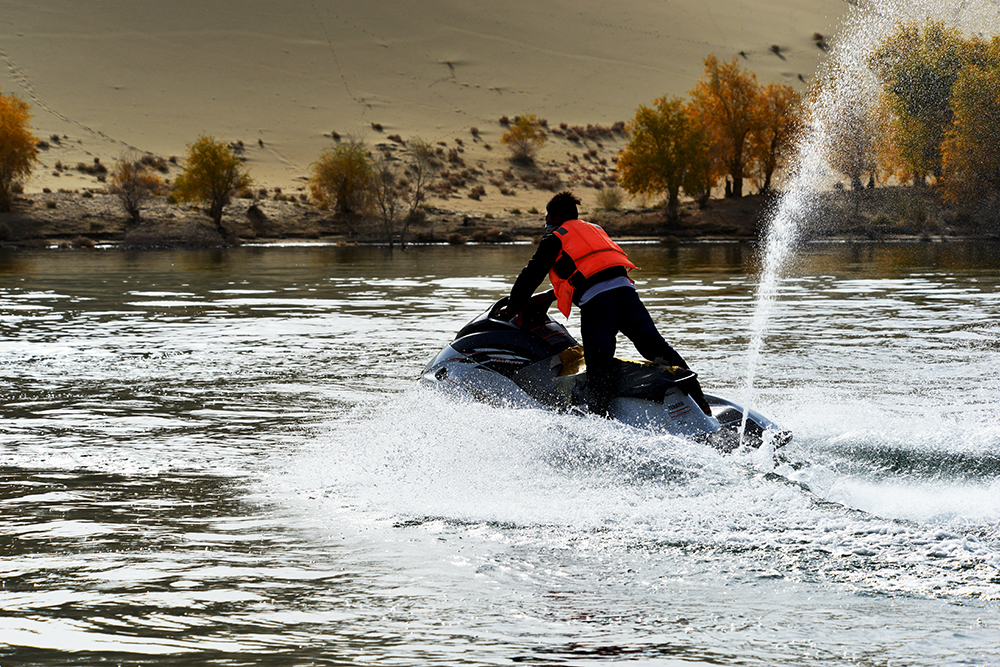 DSC_0325.JPG