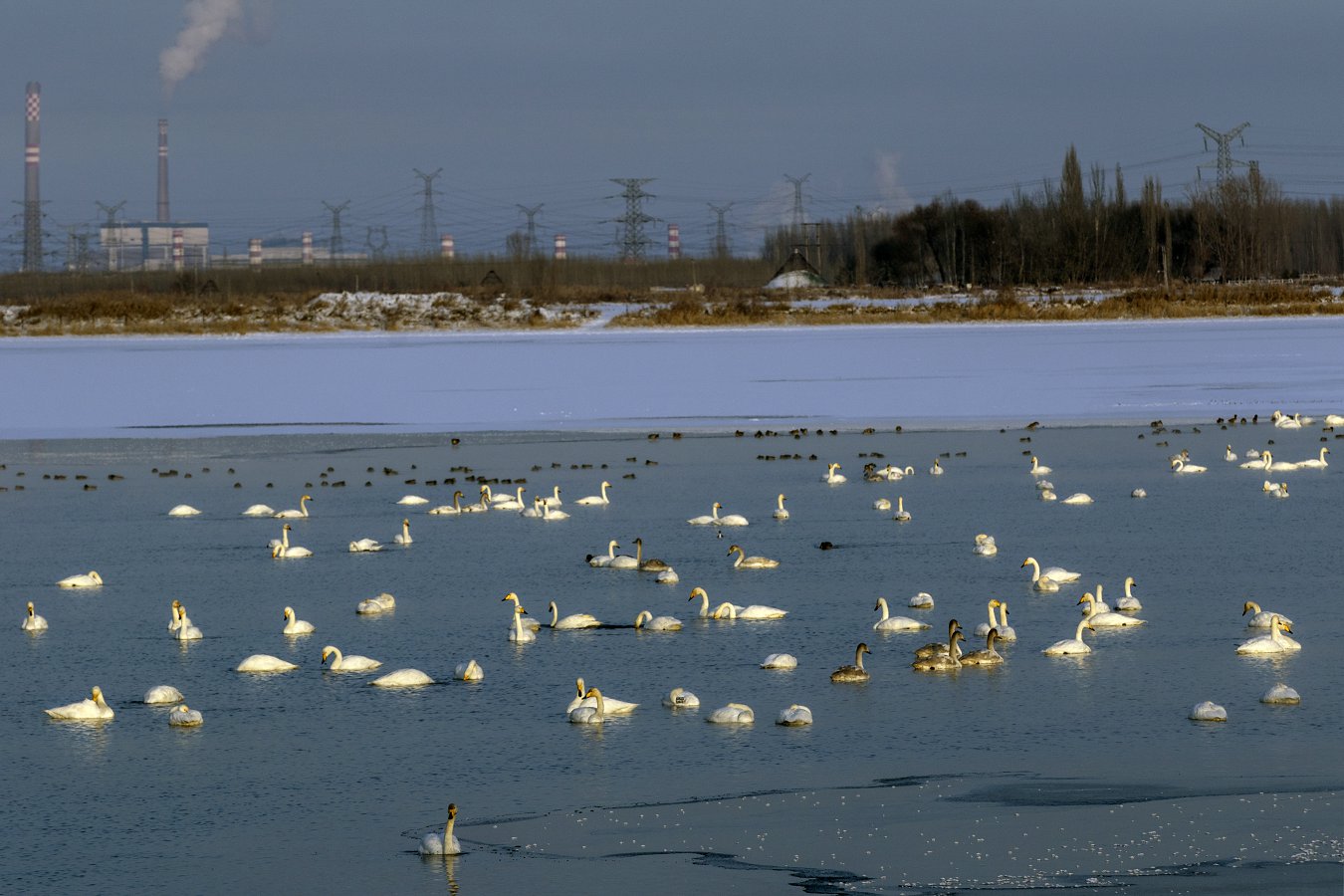 QQ0616.jpg