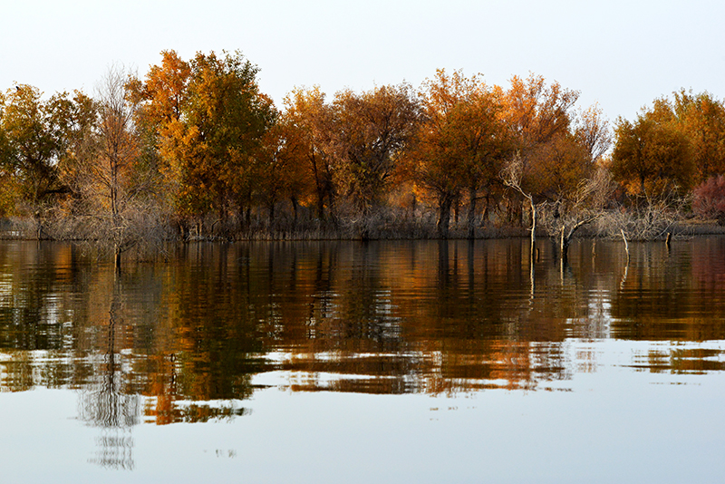 DSC_0352.JPG