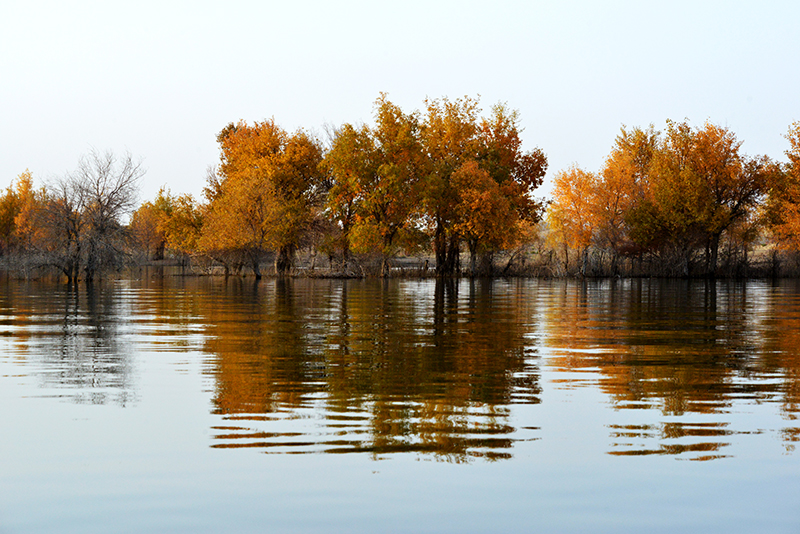 DSC_0347.JPG