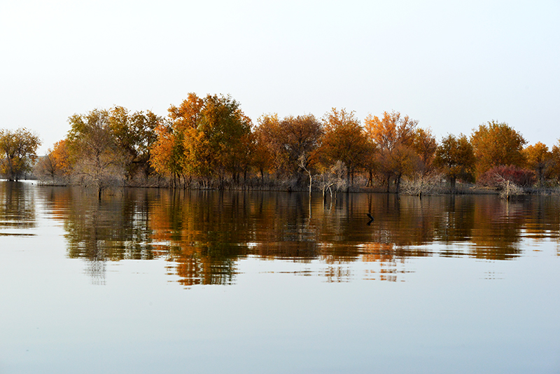 DSC_0351.JPG