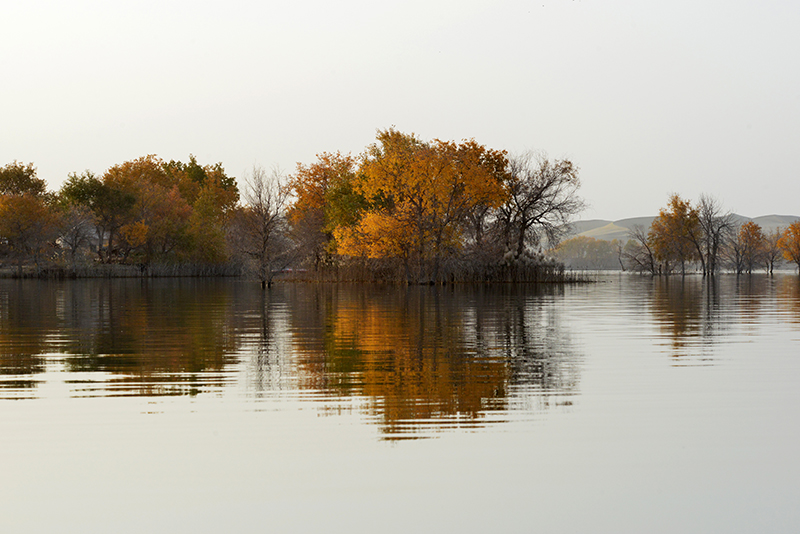 DSC_0353.JPG