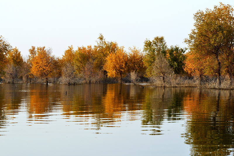 DSC_0354.JPG