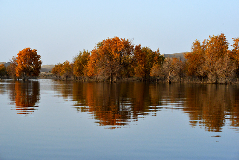 DSC_0357.JPG