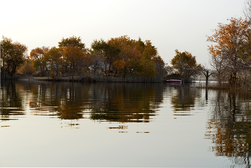 DSC_0355.JPG
