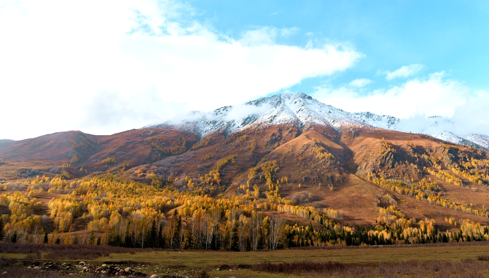 DSC_0230__.jpg