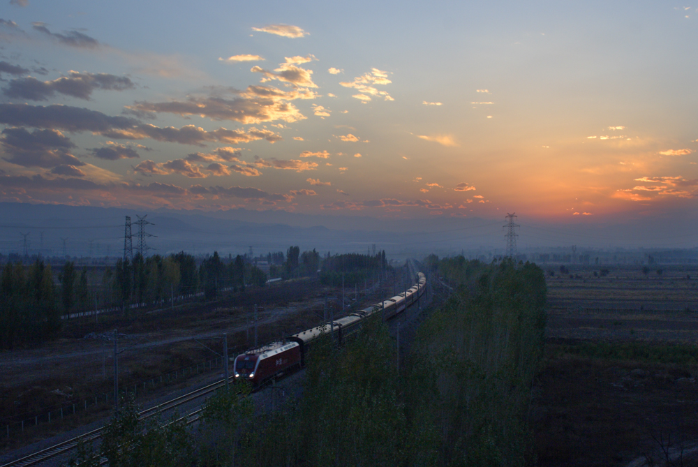 IMG_9940.jpg