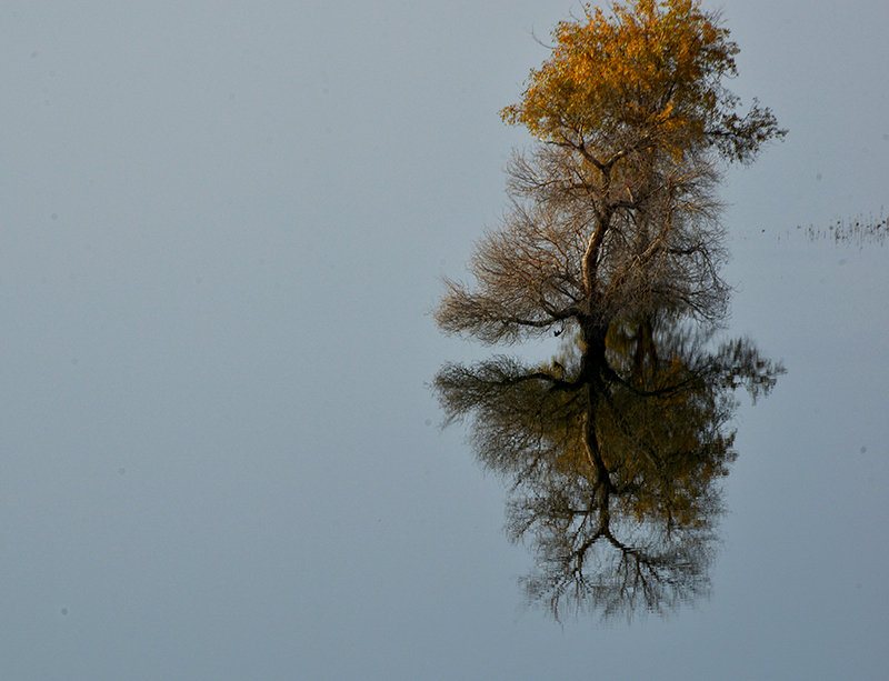 DSC_0490.JPG