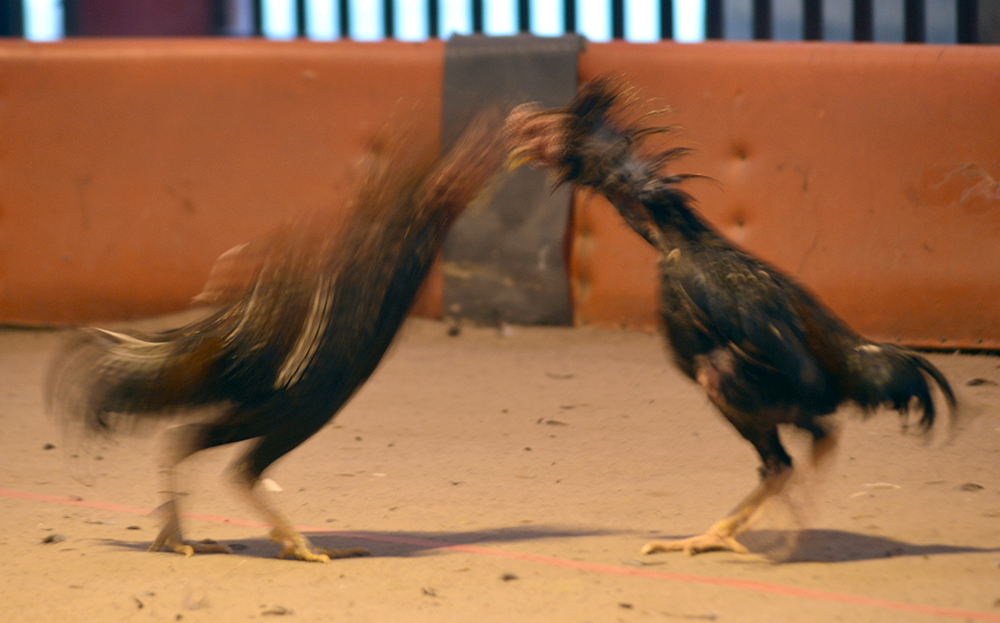DSC_5752.JPG