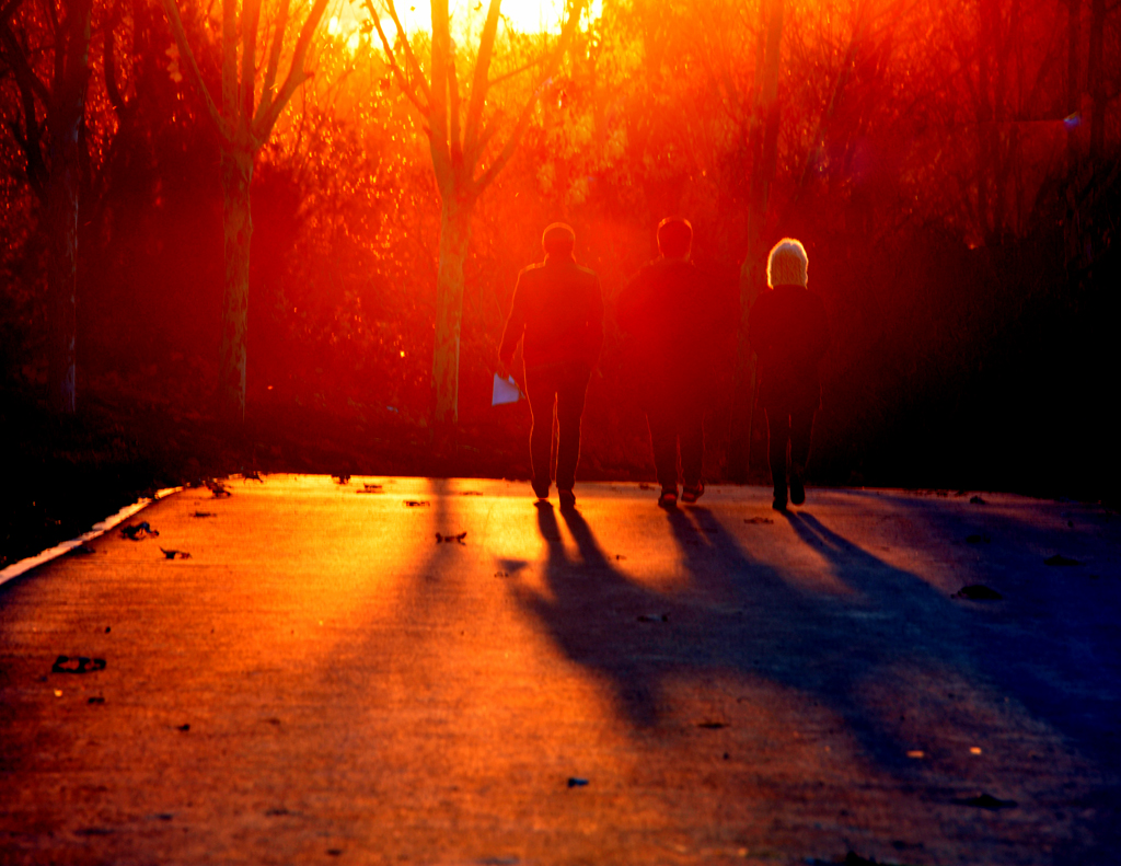 DSC_2440.jpg