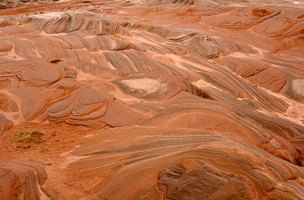 DSC_1459.JPG
