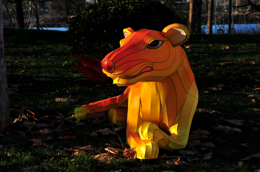 DSC_2364.jpg