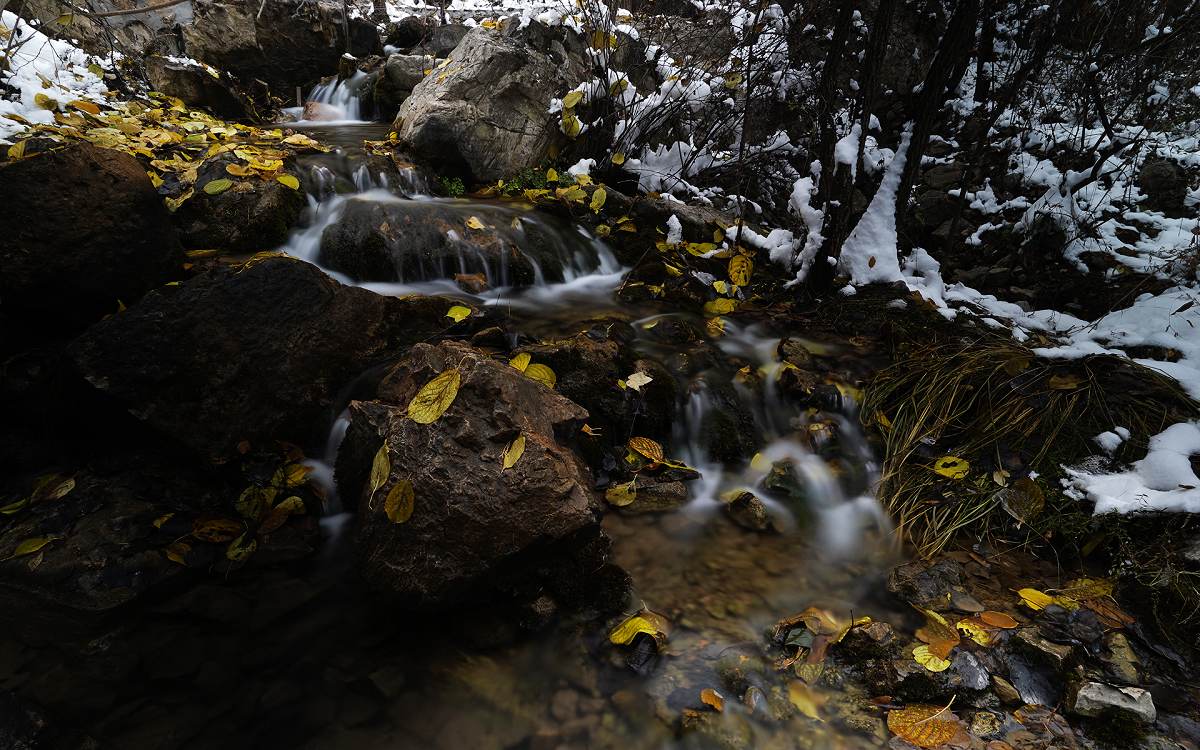 _DSC5866.jpg