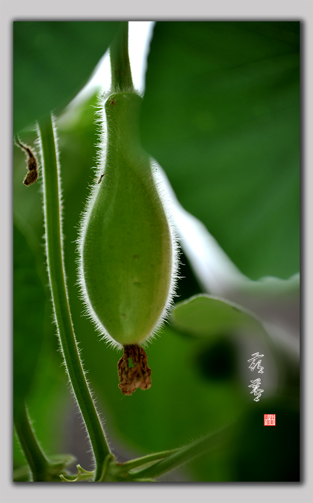 DSC_5198.JPG