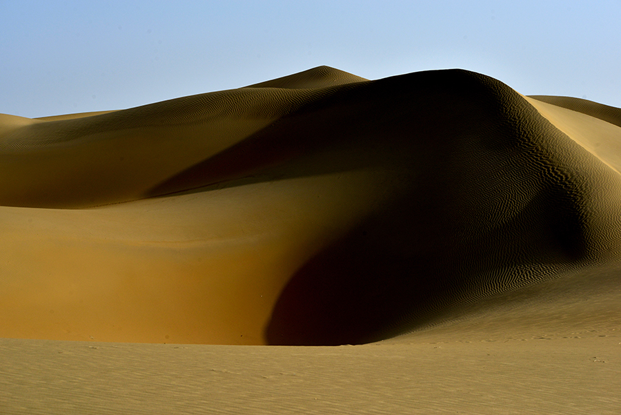 DSC_0527.JPG