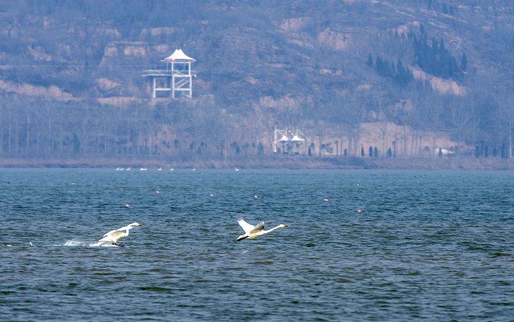 DSC_4439.jpg