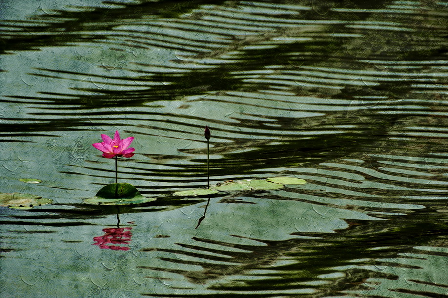 E1  Ʒ һ˷      绰 15937419266.jpg