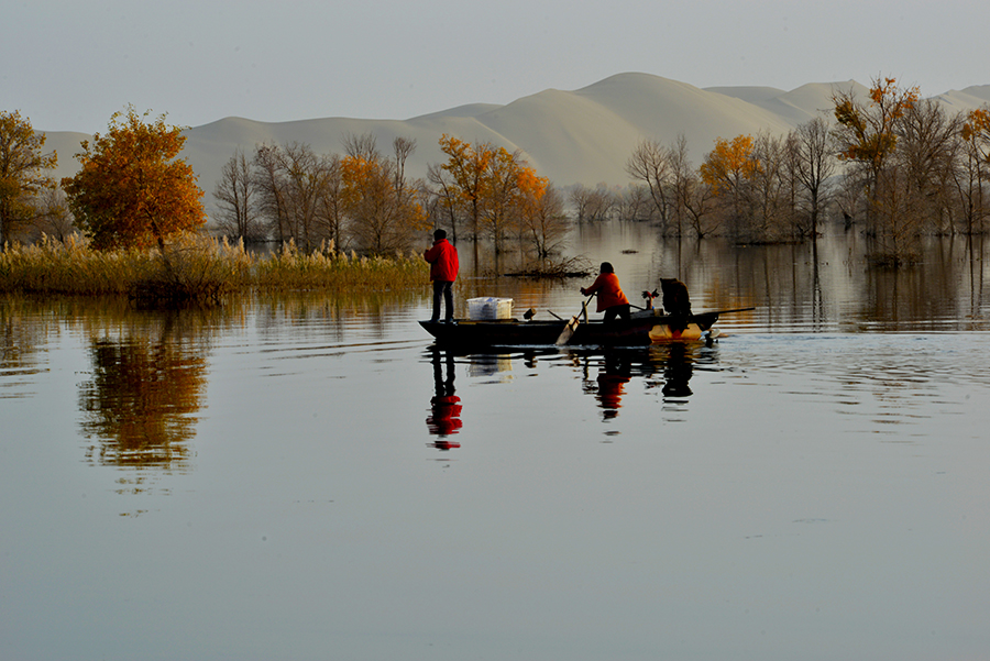 DSC_0793.JPG