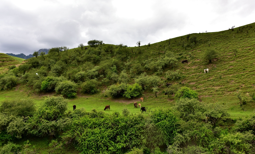 DSC_0707__.jpg
