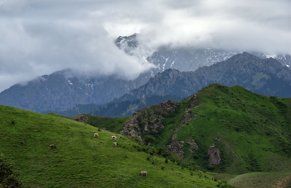 DSC_0778__.jpg