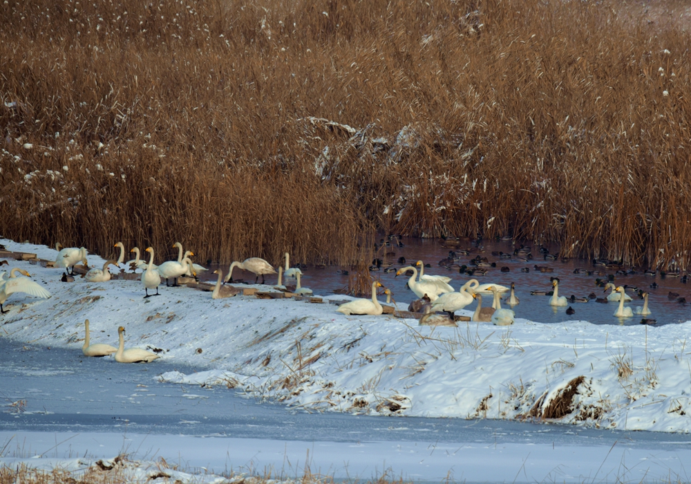 DSC_3577_.jpg