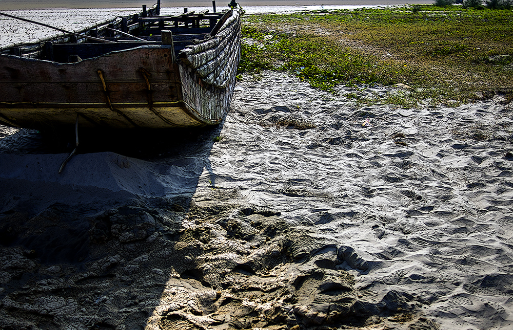 DSC_4638.jpg