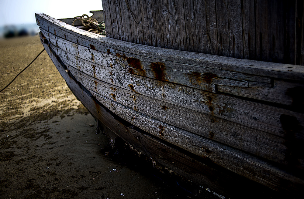 DSC_4666.jpg