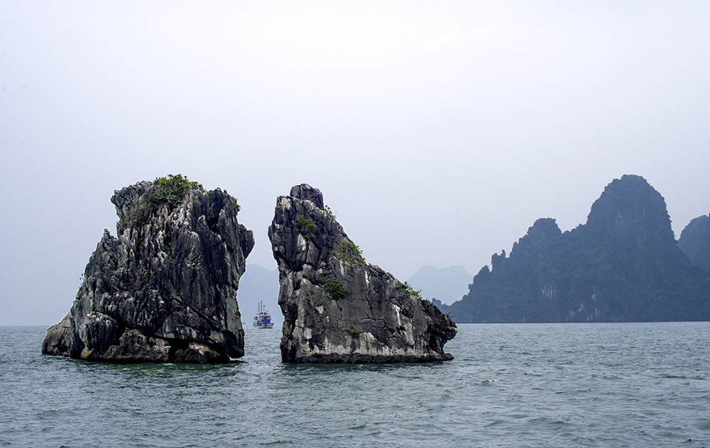 DSC_4748.jpg