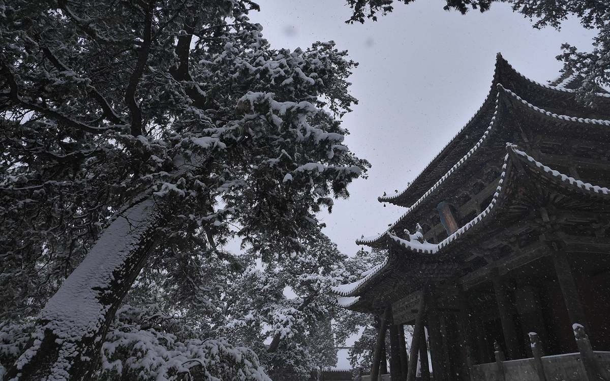 _1150803.jpg
