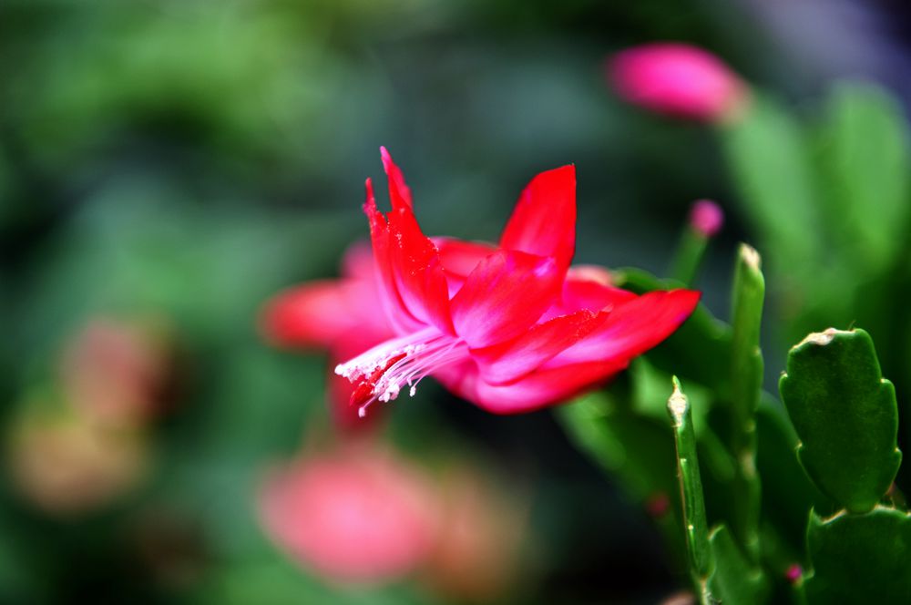 DSC_5065_.jpg