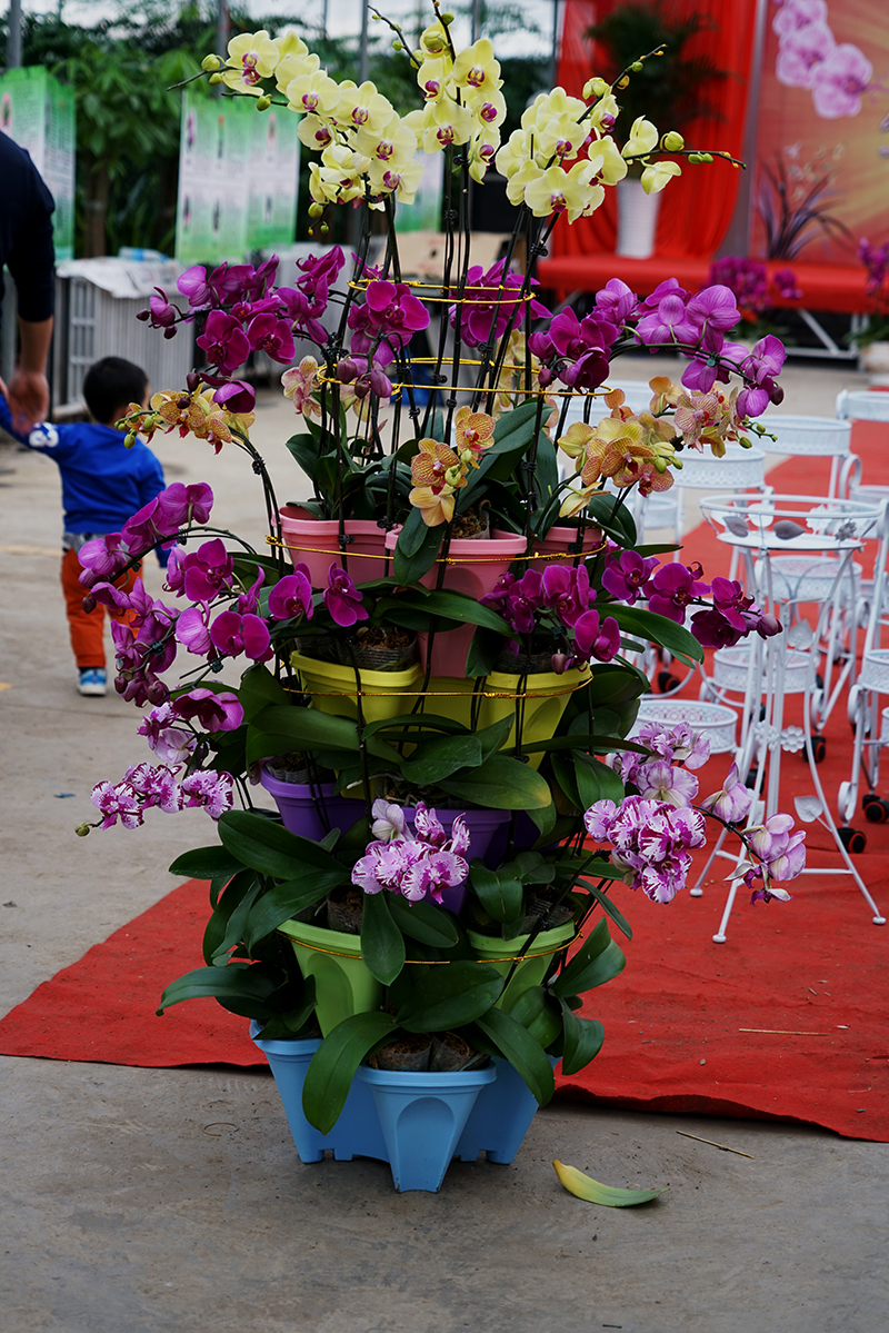 DSC08947.JPG