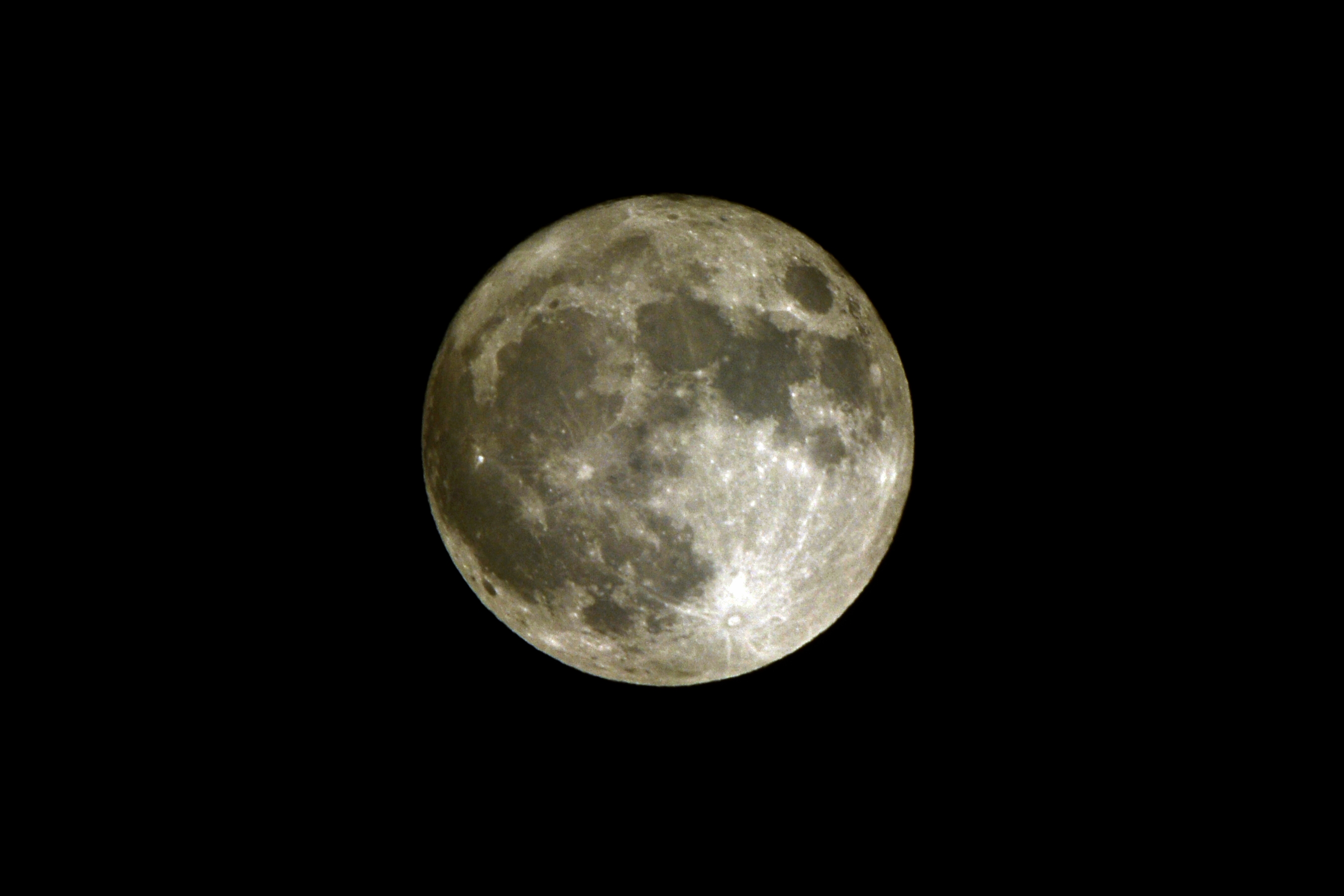 _DSC5900.JPG
