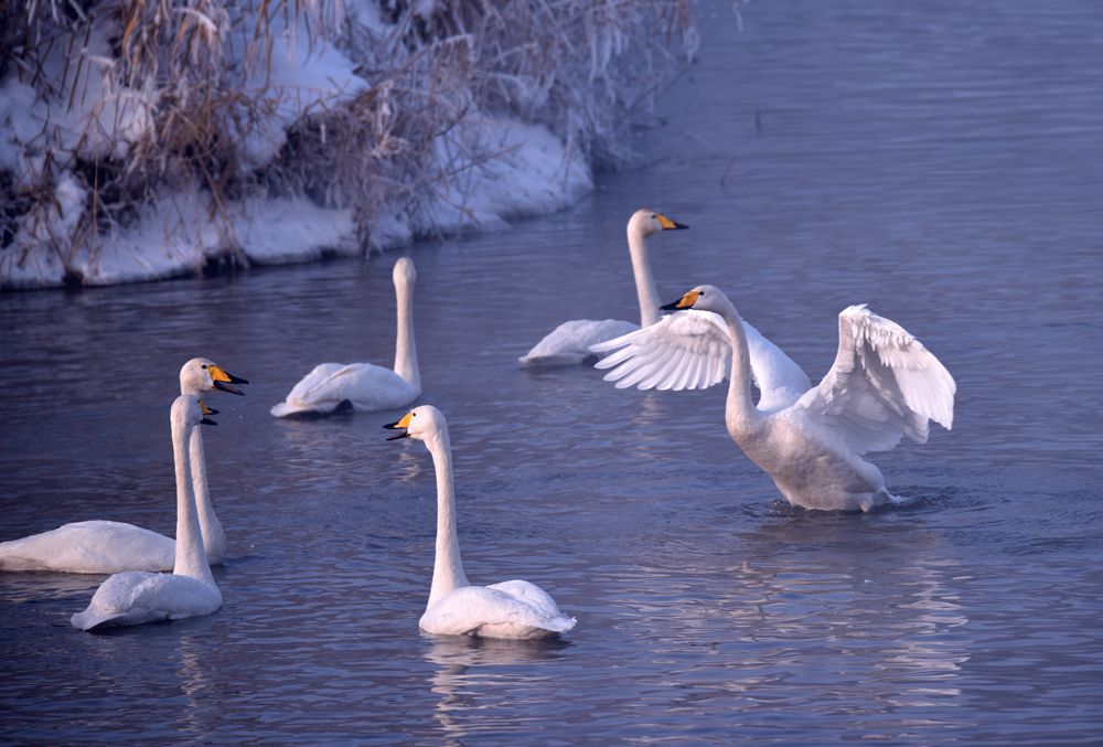 DSC_4841_.jpg