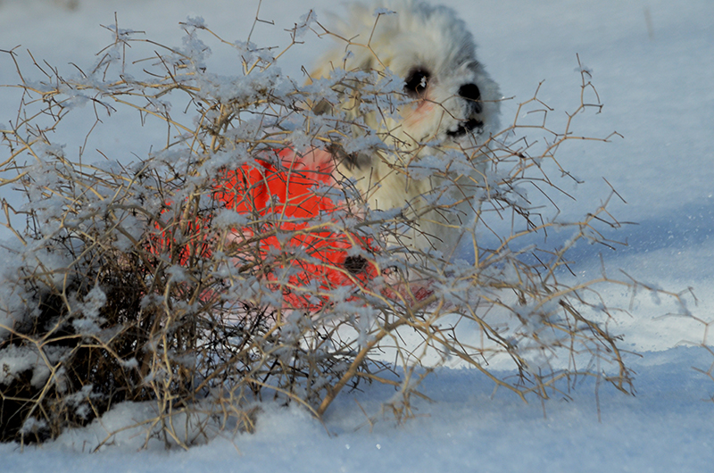 DSC_4742.JPG