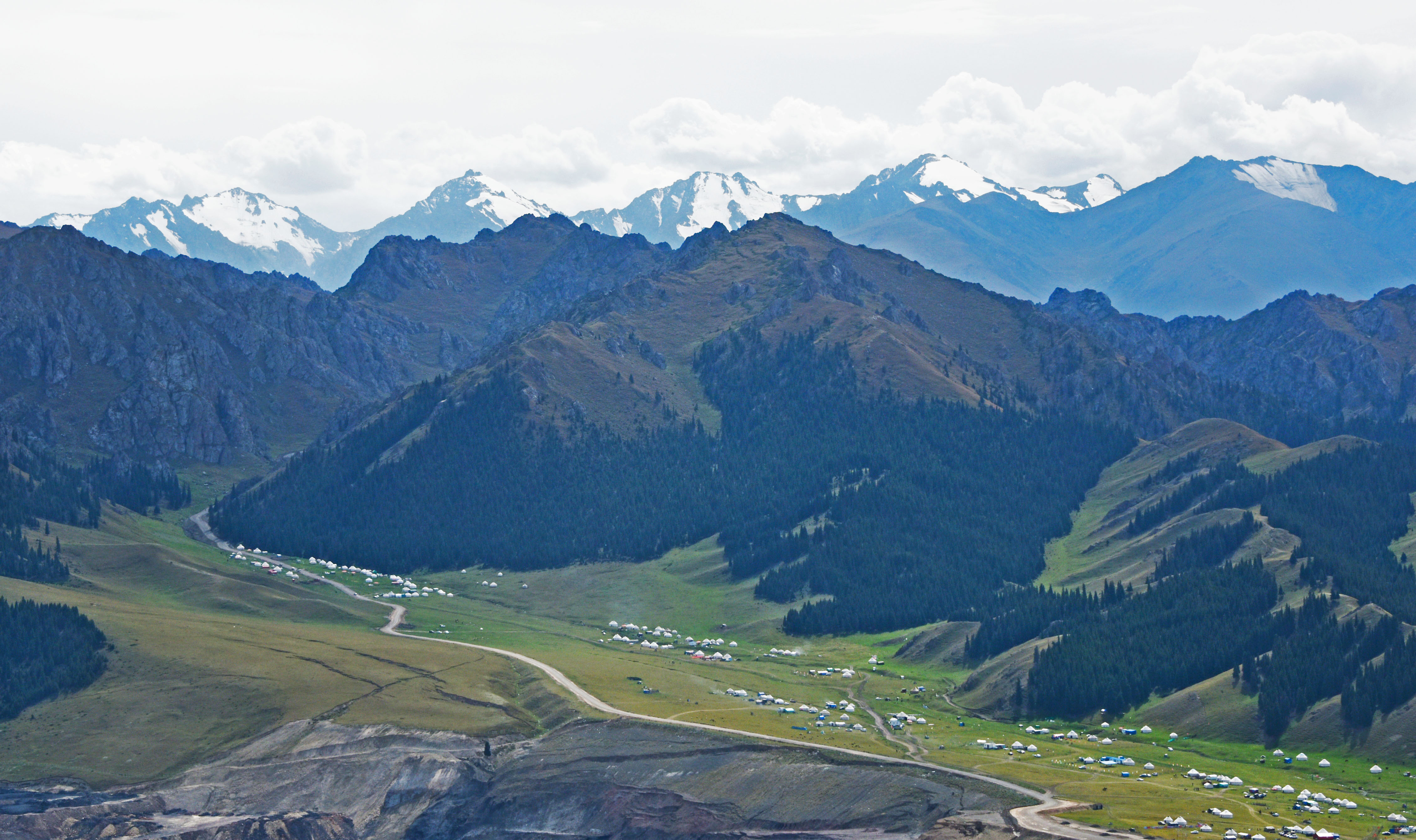 DSC_7477.jpg