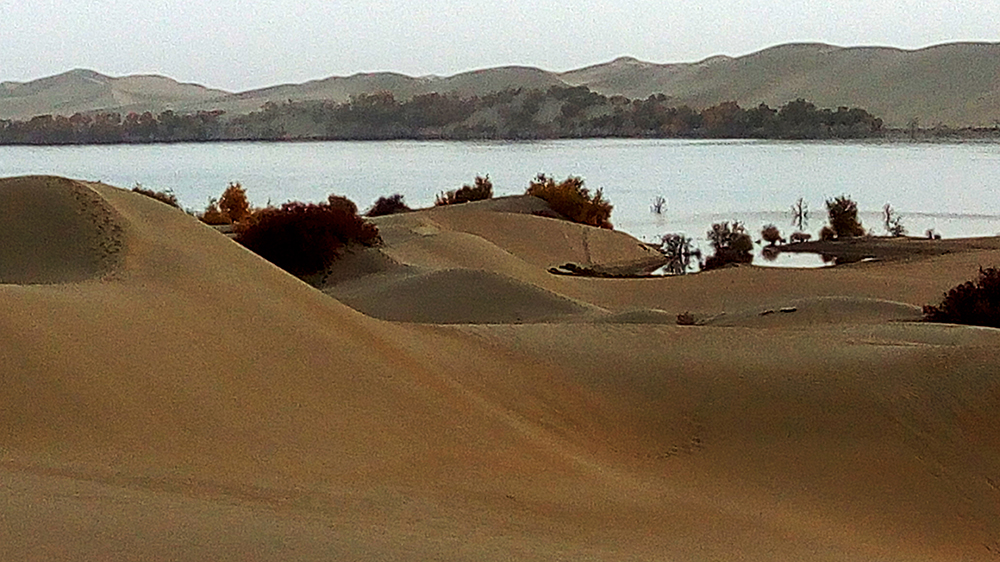 IMG_20161031_100229.jpg