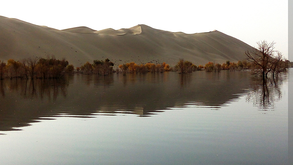 IMG_20161031_110243.jpg