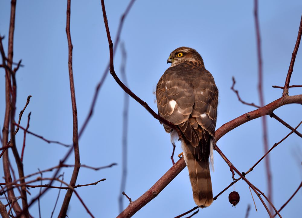 DSC_6679_.jpg