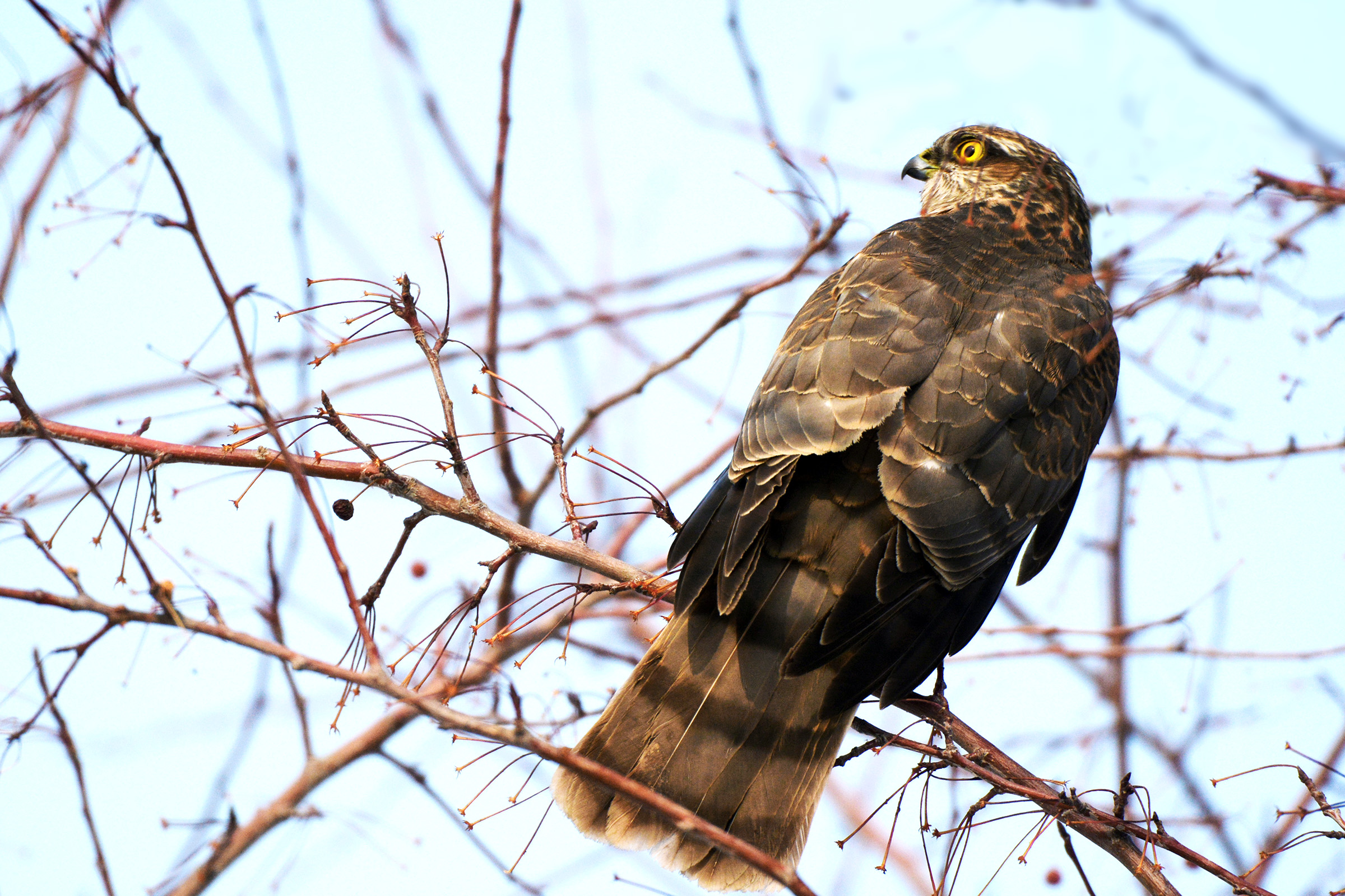 DSC_7072.jpg