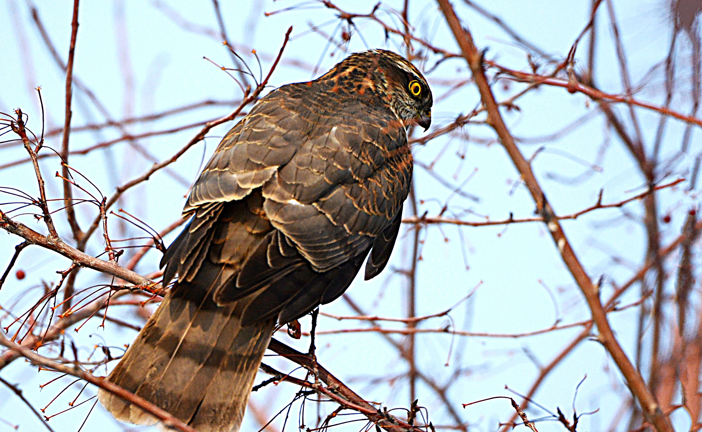 DSC_7073.jpg