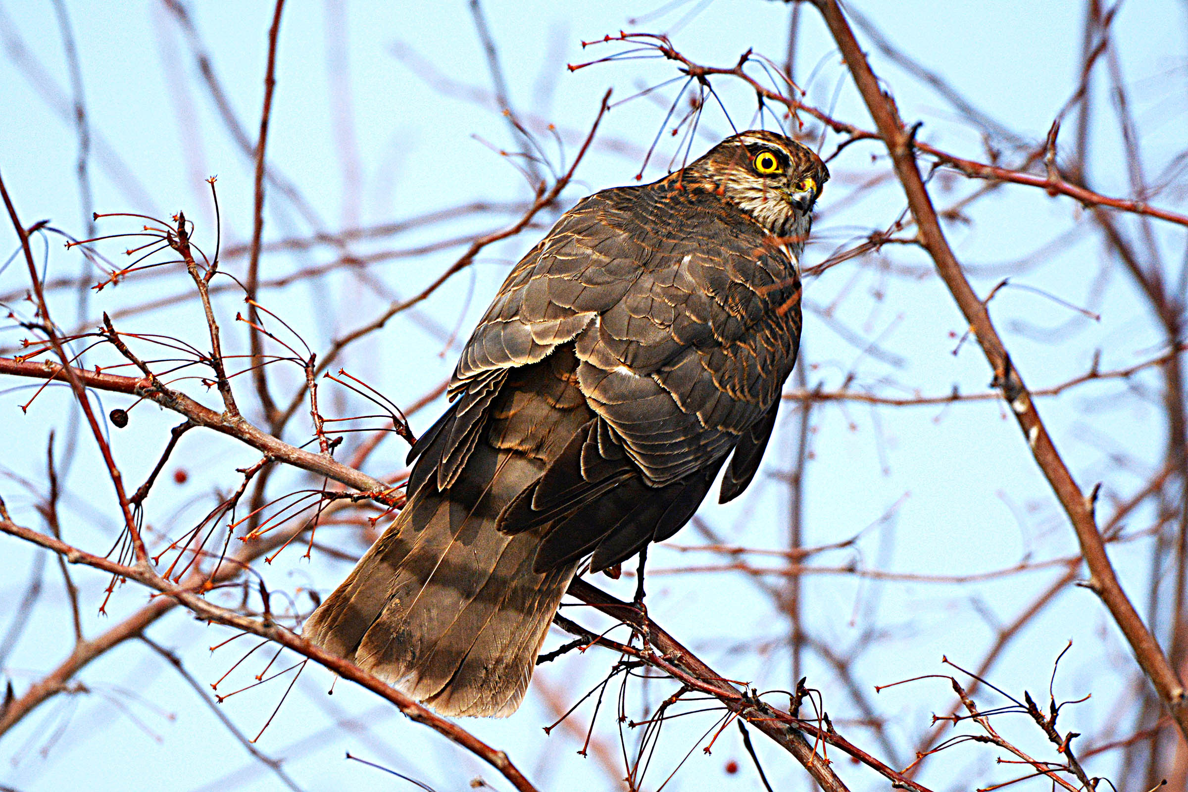 DSC_7074.jpg